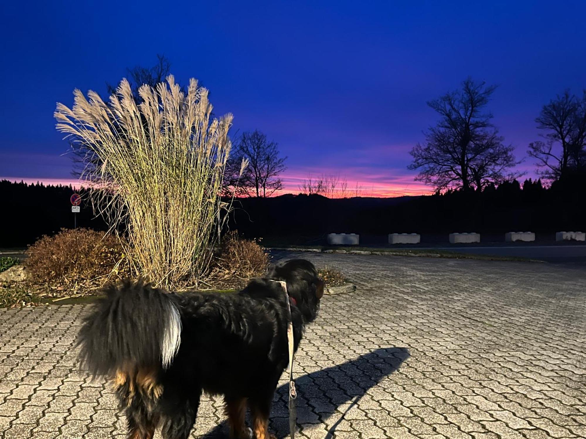 Astrid'S Pension Winterberg Kültér fotó